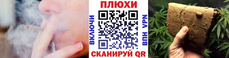 ГАШ Premium Кольчугино