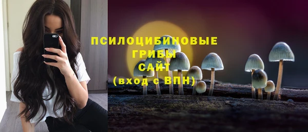 MESCALINE Алзамай