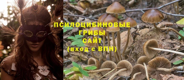 таблы Алексеевка