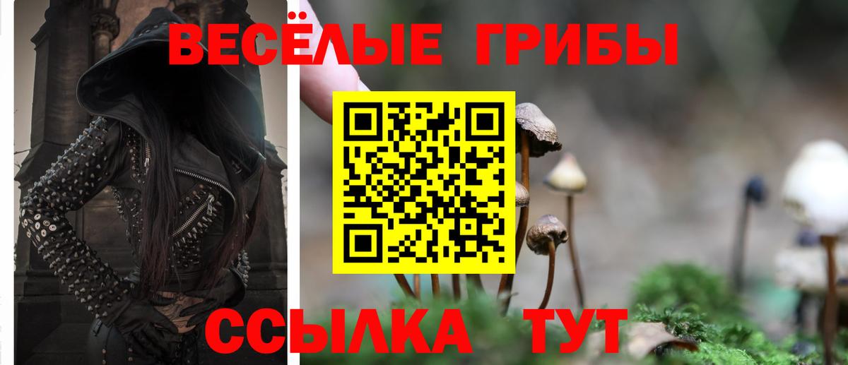 Галлюциногенные грибы ЛСД Кольчугино